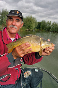 Pellet Waggler Rod in Action