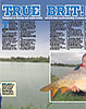 Ultra Light 4x4 Feeder Rod Review
